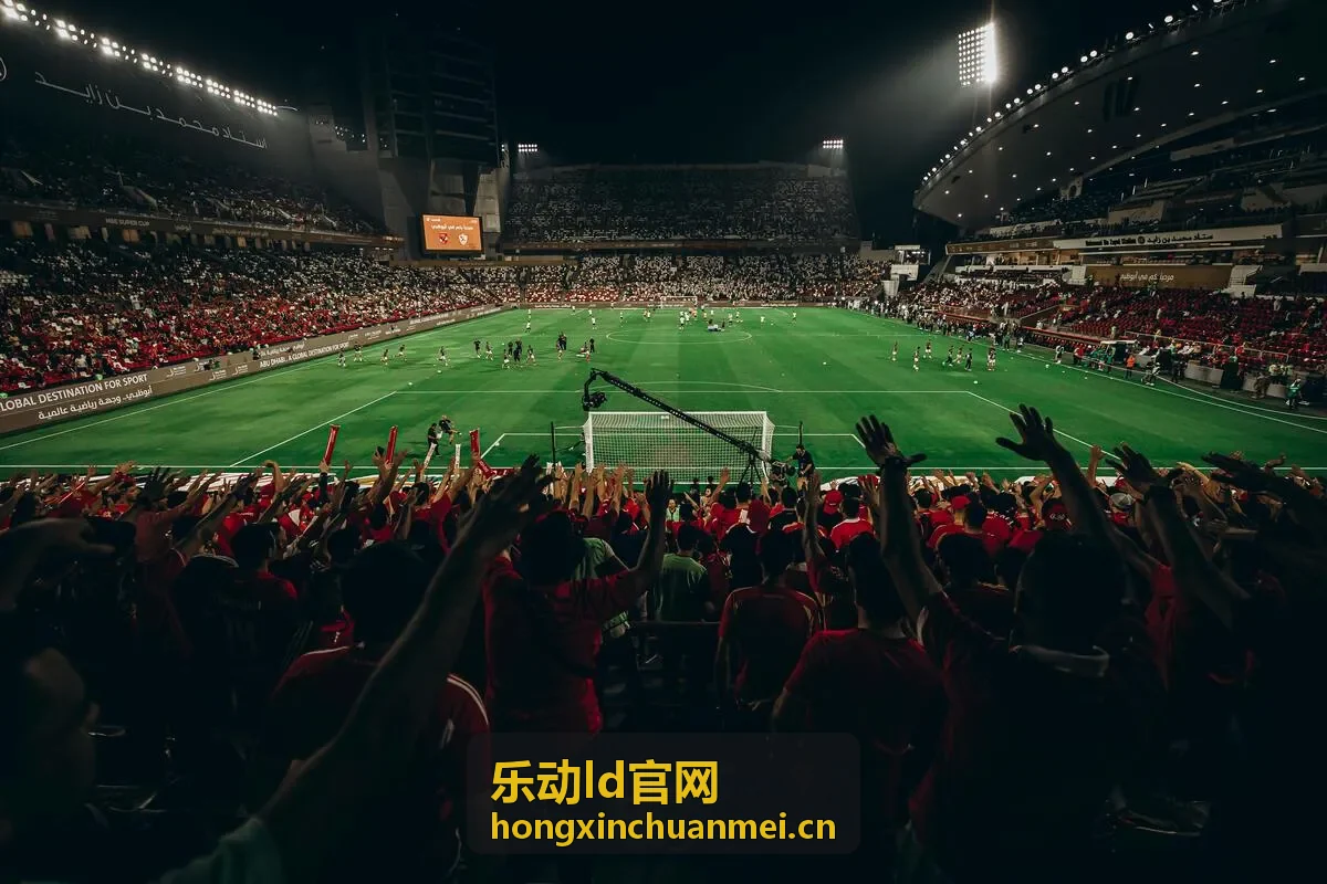 乐动ld官网音乐现场观众手中举着的星星灯与舞台远景